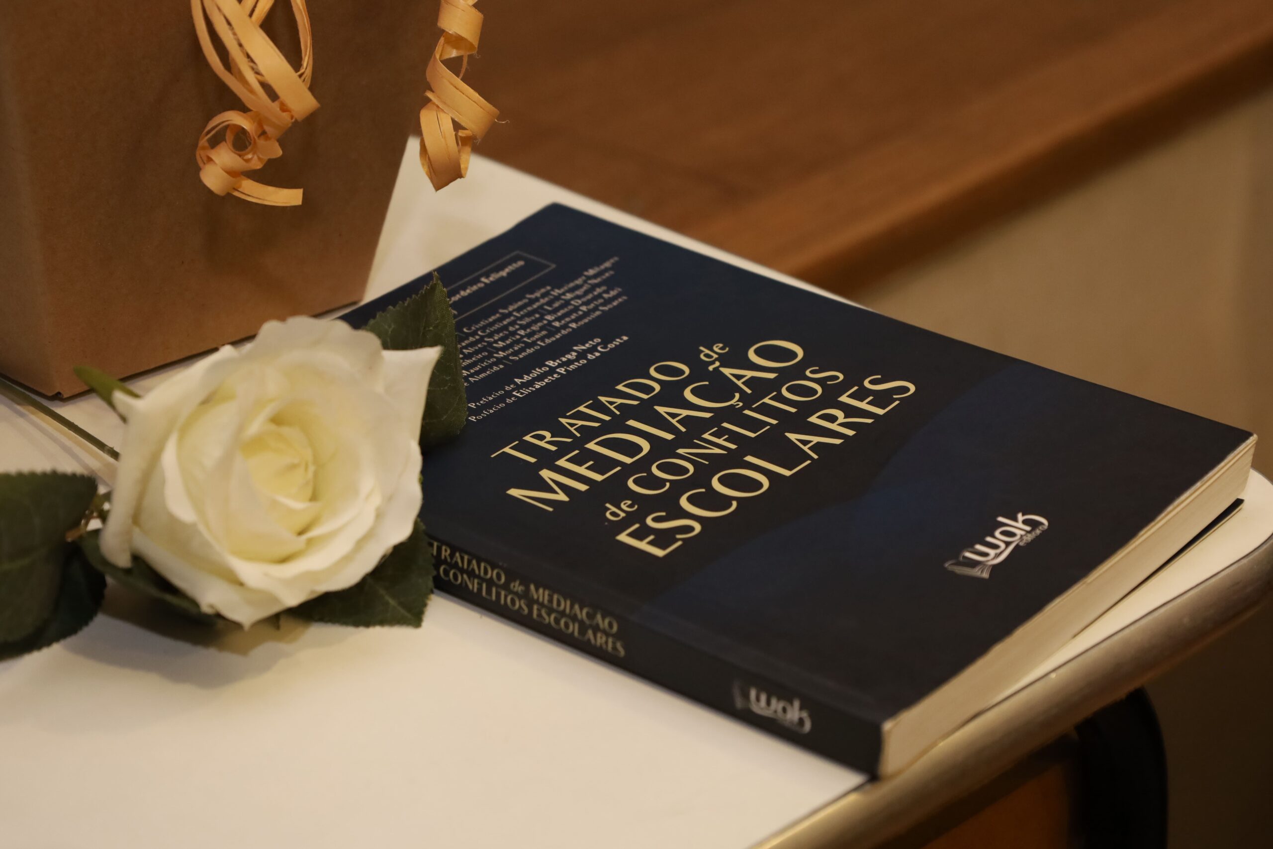 foto palestra livro 1